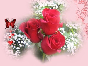 imagenes de rosas rojas con corazones 3